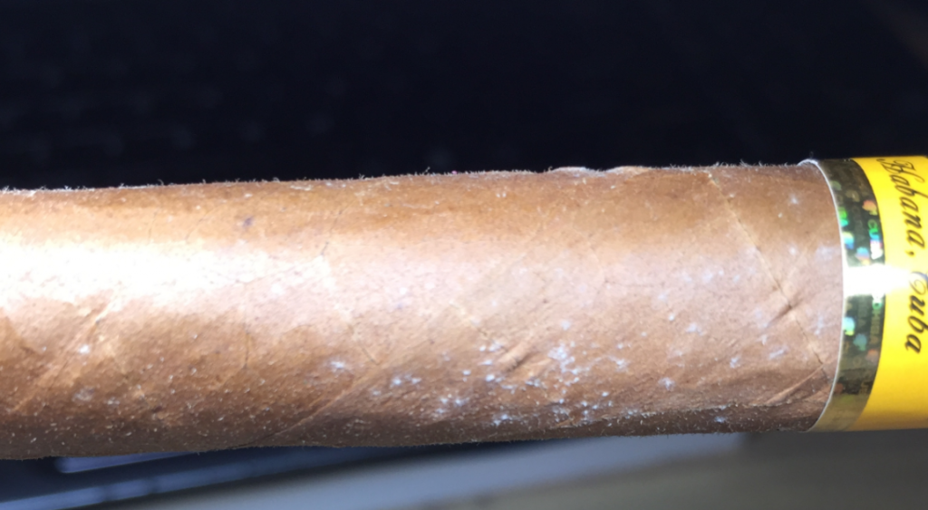 Cigar Mold