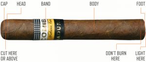 cigar-cutting-diagram