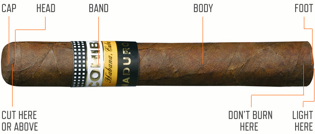 cigar cutting diagram